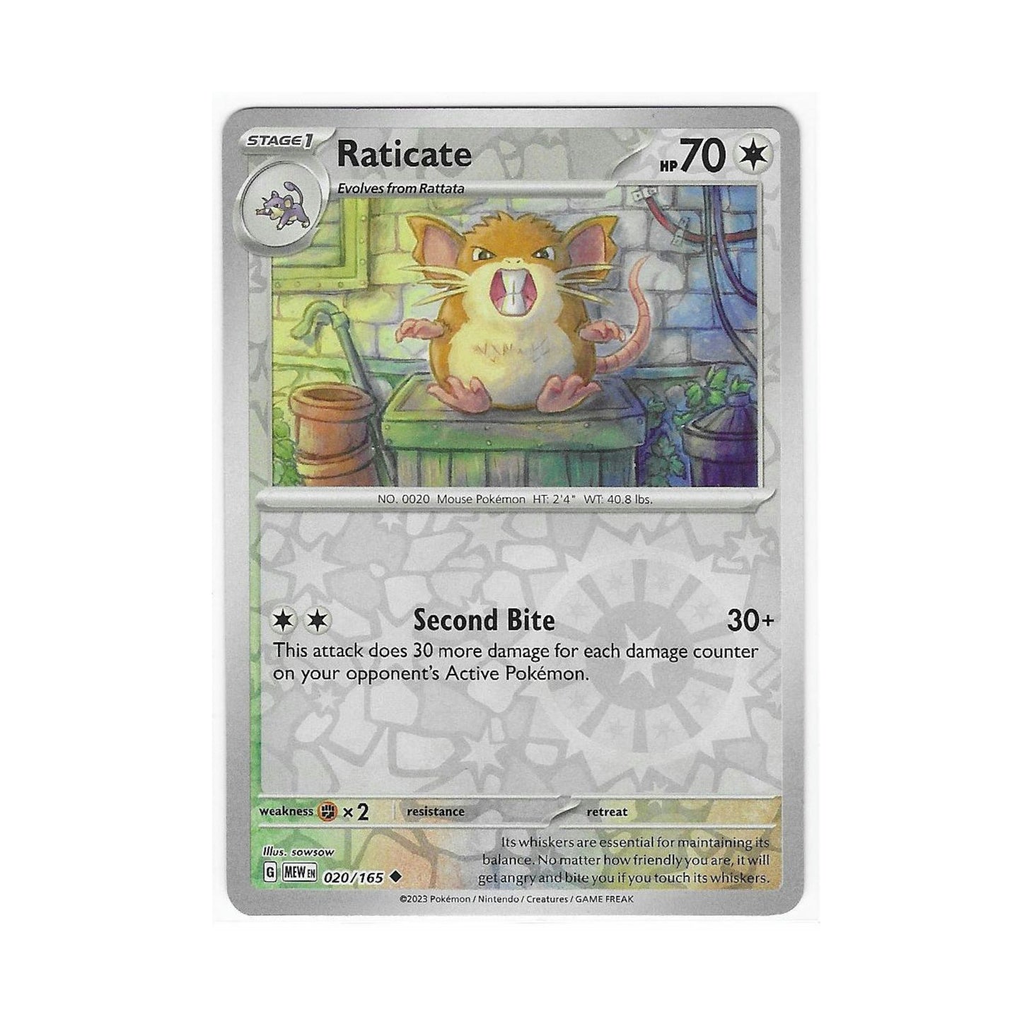 Raticate Reverse Holo 020/165