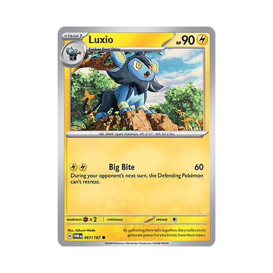 Luxio Reverse Holo 067/167
