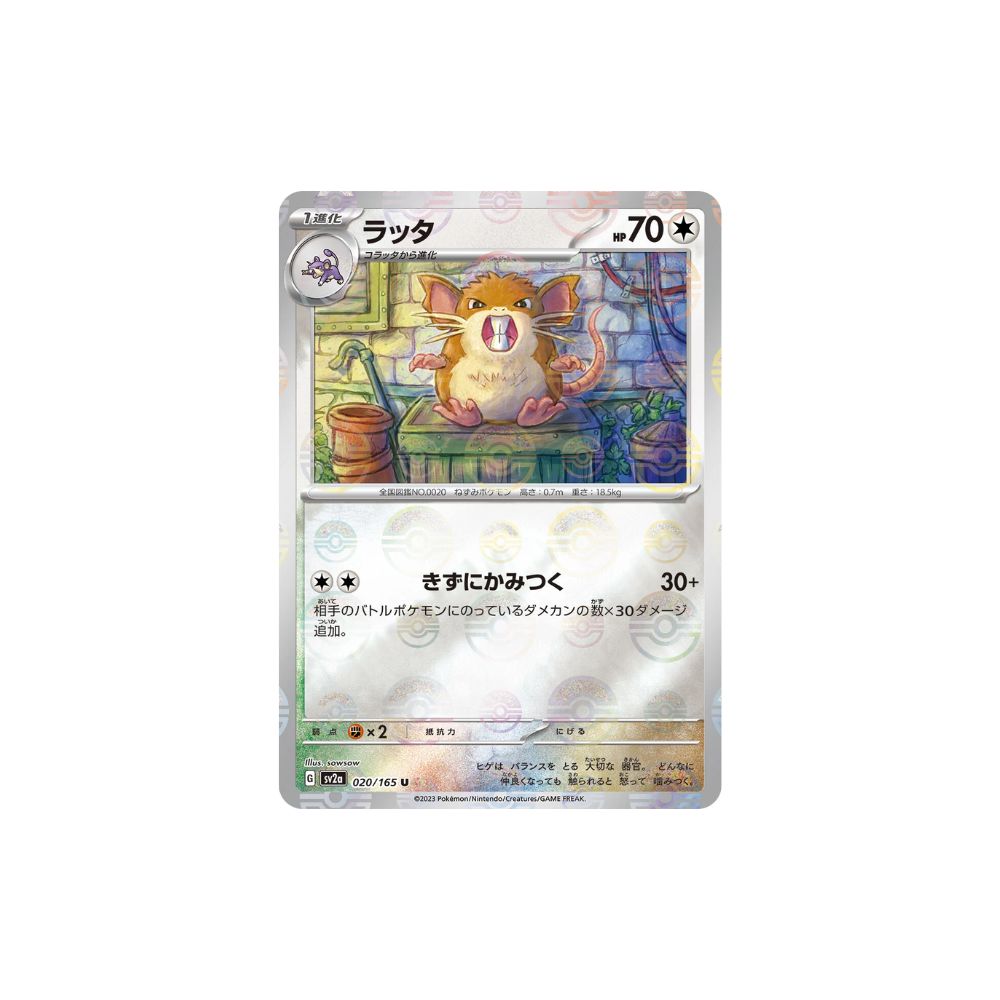 Raticate Pokeball Holo 020/165 (Japan)