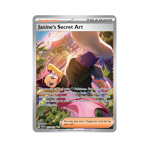 Janine's Secret Art 173/131